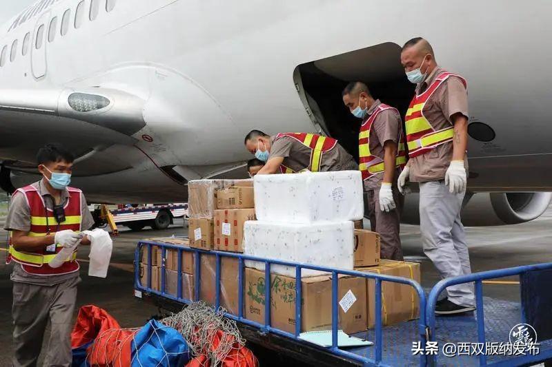 第二批空运普洱茶由西双版纳飞往广州